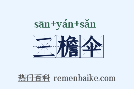 三檐伞是什么意思的图片